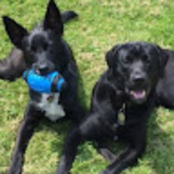 Meet your Posher, Kaitlyn - Picture 1 of 1